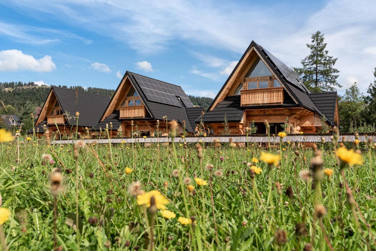 Sniezna Dolina - Sobiczkowa Bor Luxury Chalets Kościelisko Exterior foto